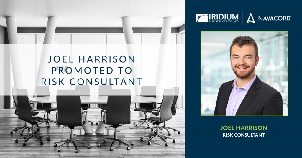Joel Harrison risk consultant 